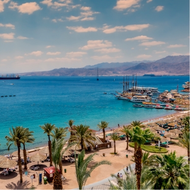 Relax by the Red Sea