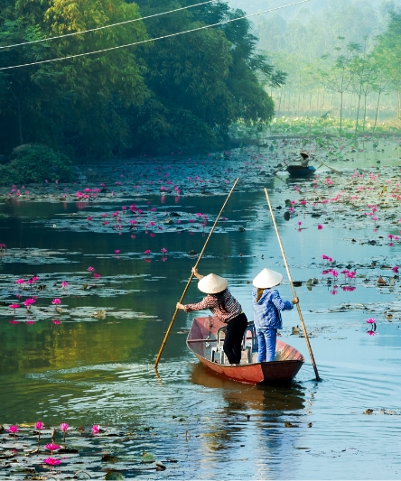 Essence of Indochina