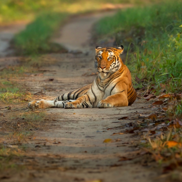 MyPrivateJourneys - Section – 1
