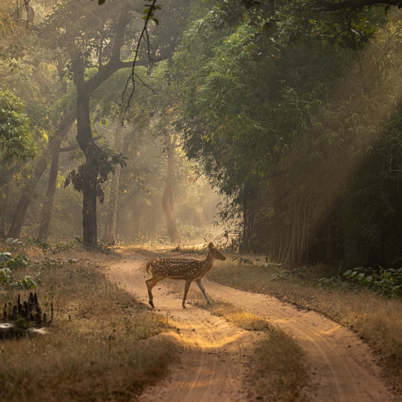 MyPrivateJourneys - Section – 2
