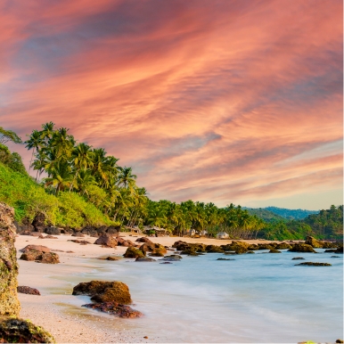 Relax on the golden sands of Marari Beach