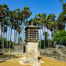 Visit Delft Island & 16th C. Portuguese fort, the courthouse ruins, and unique pigeon tower