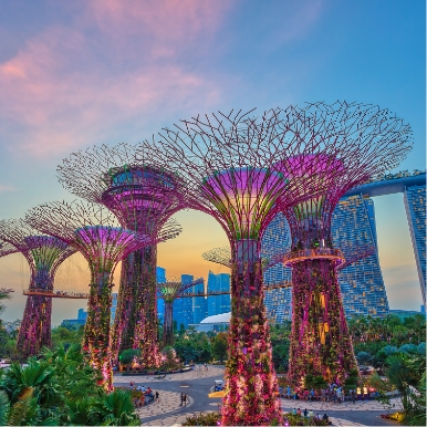Visit UNESCO Botanic Gardens in Singapore