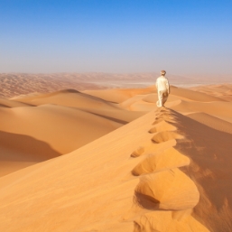 The starlit Dunes