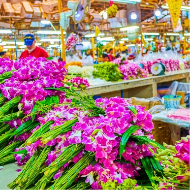 Explore Pak Klong Talad Flower Market