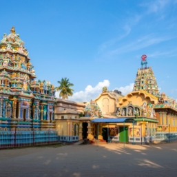 Explore the hidden gems of Jaffna & Trincomalee 