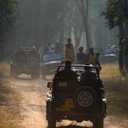 Open-jeep safaris with expert naturalists
