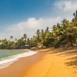 Relax on Negombo beach