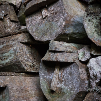 Visit Sagada burial caves and the famous hanging coffins