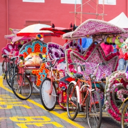 Jaipur sightseeing by Pink Rickshaw    
