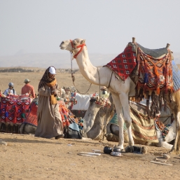 Meet Bedouins to learn about their lifestyle