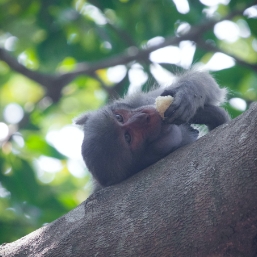 The lesser-known and tranquil Bori Wildlife Sanctuary