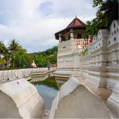 Visit Tooth of Relic in Kandy