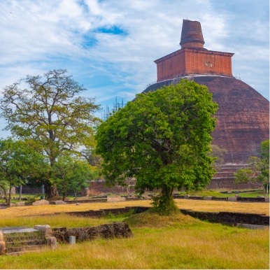 Visit ancient capital cities of Annuradhapura & Polonnaruwa