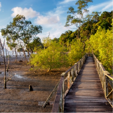 Bako National Park