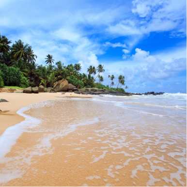 Relax on Wadduwa beach