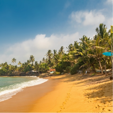 Relax on Negombo Beach